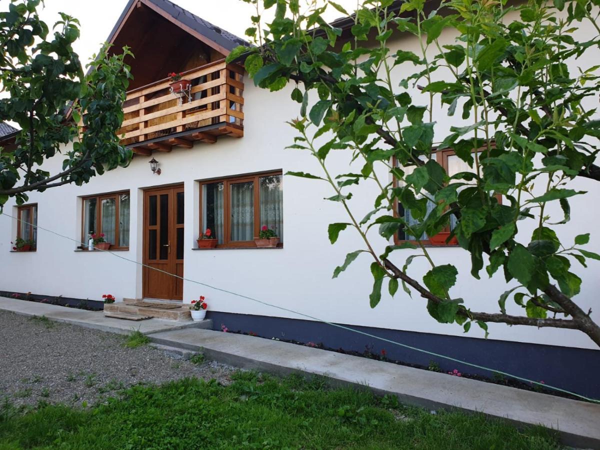 Pensiunea Ilea Ieud Exterior photo